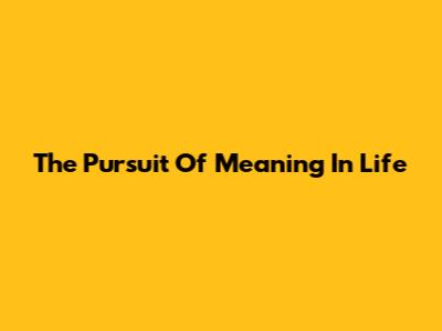 The Pursuit Of Meaning In Life