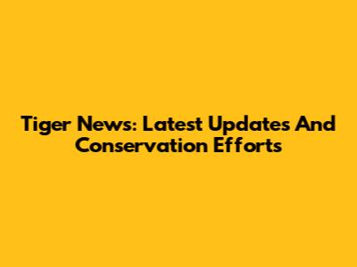 Tiger News: Latest Updates And Conservation Efforts