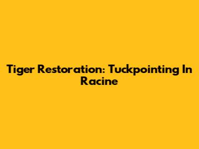 Tiger Restoration: Tuckpointing In Racine