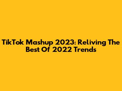 TikTok Mashup 2023: Reliving The Best Of 2022 Trends