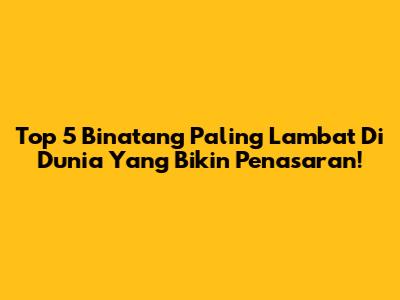 Top 5 Binatang Paling Lambat Di Dunia Yang Bikin Penasaran!