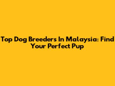 Top Dog Breeders In Malaysia: Find Your Perfect Pup