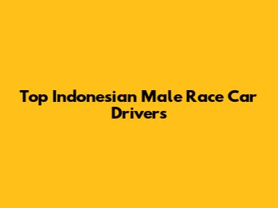 Top Indonesian Male Race Car Drivers