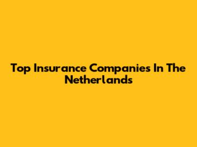 Top Insurance Companies In The Netherlands