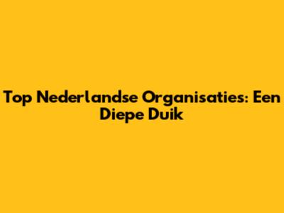 Top Nederlandse Organisaties: Een Diepe Duik