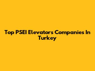 Top PSEI Elevators Companies In Turkey