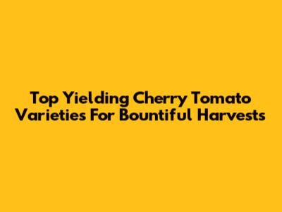 Top Yielding Cherry Tomato Varieties For Bountiful Harvests