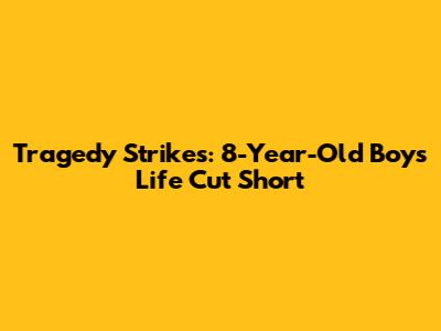 Tragedy Strikes: 8-Year-Old Boy's Life Cut Short