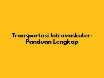 Transportasi Intravaskuler: Panduan Lengkap