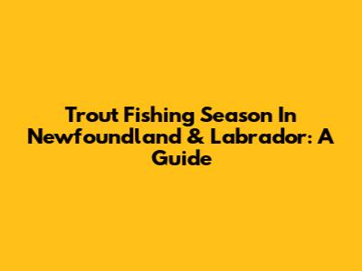 Trout Fishing Season In Newfoundland & Labrador: A Guide