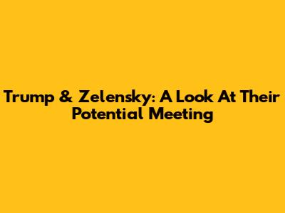 Trump & Zelensky: A Look At Their Potential Meeting