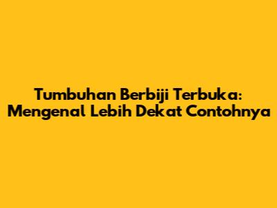 Tumbuhan Berbiji Terbuka: Mengenal Lebih Dekat Contohnya
