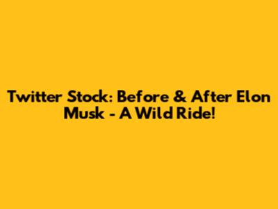 Twitter Stock: Before & After Elon Musk - A Wild Ride!