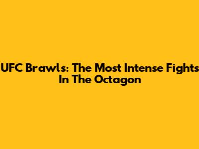 UFC Brawls: The Most Intense Fights In The Octagon