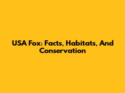 USA Fox: Facts, Habitats, And Conservation