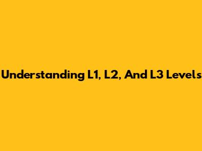 Understanding L1, L2, And L3 Levels
