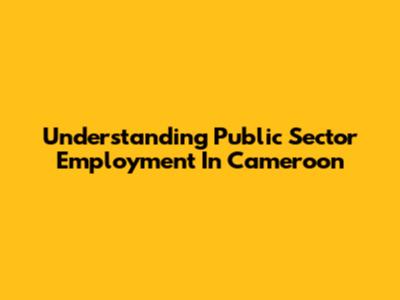 Understanding Public Sector Employment In Cameroon