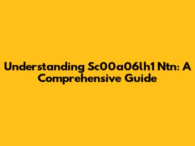Understanding Sc00a06lh1 Ntn: A Comprehensive Guide