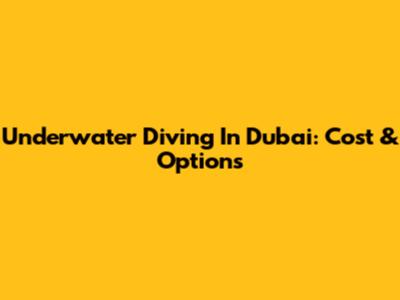 Underwater Diving In Dubai: Cost & Options