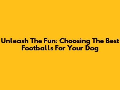 Unleash The Fun: Choosing The Best Footballs For Your Dog
