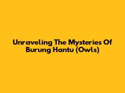 Unraveling The Mysteries Of Burung Hantu (Owls)