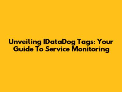 Unveiling IDataDog Tags: Your Guide To Service Monitoring