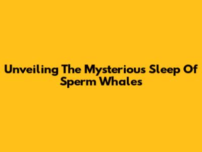 Unveiling The Mysterious Sleep Of Sperm Whales
