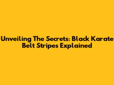 Unveiling The Secrets: Black Karate Belt Stripes Explained