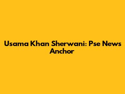 Usama Khan Sherwani: Pse News Anchor