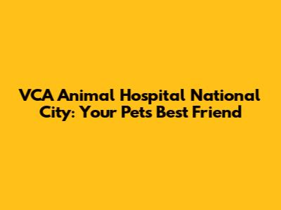 VCA Animal Hospital National City: Your Pet's Best Friend
