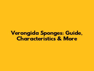 Verongida Sponges: Guide, Characteristics & More