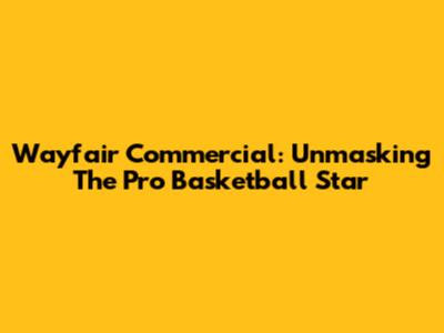 Wayfair Commercial: Unmasking The Pro Basketball Star