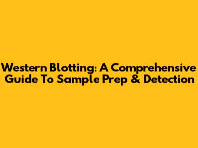 Western Blotting: A Comprehensive Guide To Sample Prep & Detection