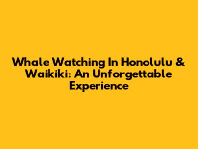 Whale Watching In Honolulu & Waikiki: An Unforgettable Experience