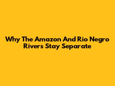Why The Amazon And Rio Negro Rivers Stay Separate