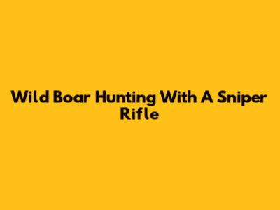 Wild Boar Hunting With A Sniper Rifle