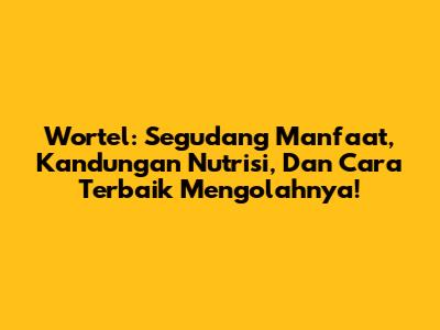 Wortel: Segudang Manfaat, Kandungan Nutrisi, Dan Cara Terbaik Mengolahnya!