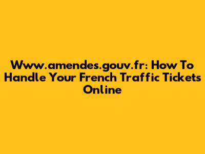 Www.amendes.gouv.fr: How To Handle Your French Traffic Tickets Online