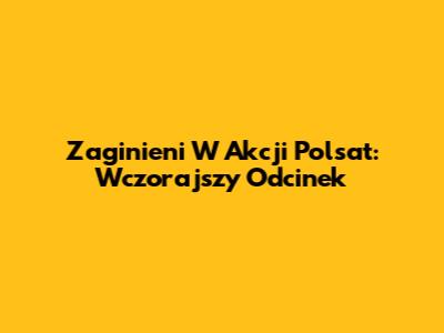 Zaginieni W Akcji Polsat: Wczorajszy Odcinek