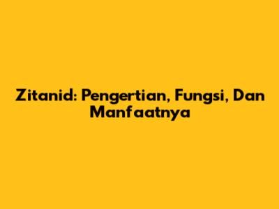 Zitanid: Pengertian, Fungsi, Dan Manfaatnya